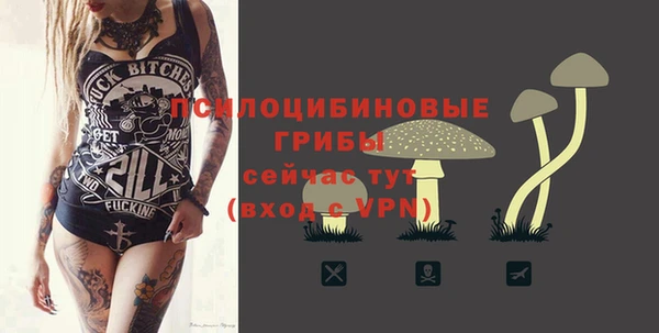 индика Абдулино