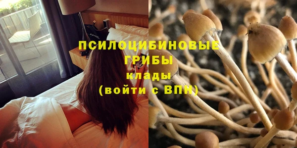 jwh Абаза