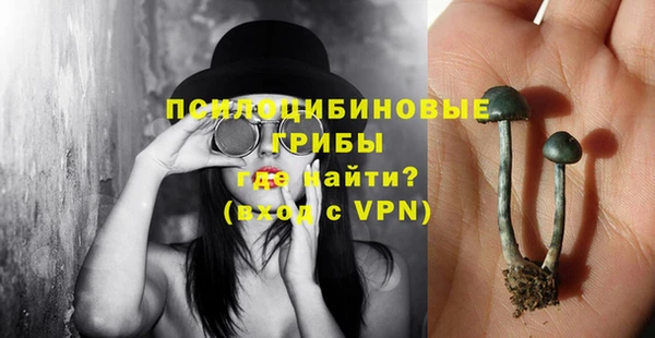 индика Абдулино