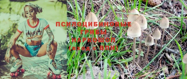 индика Абдулино