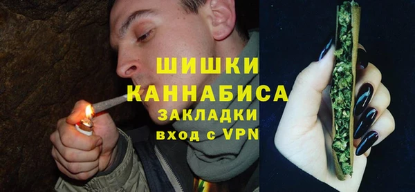 индика Абдулино